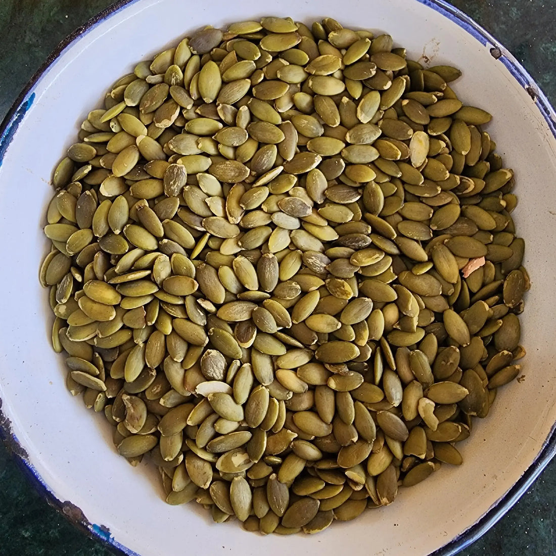 Pumpkin Seeds Plain
