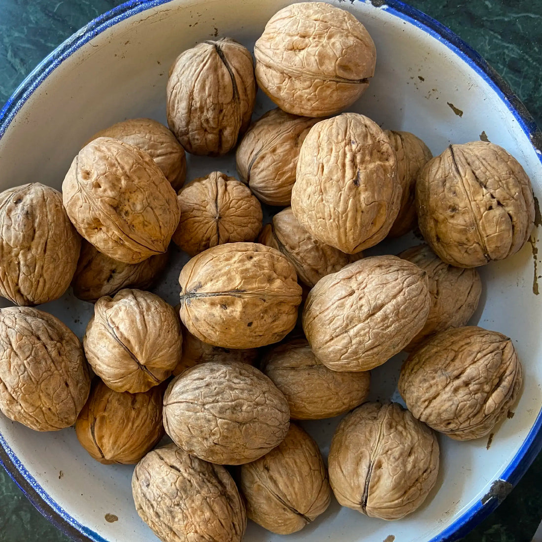 Chile Inshell Walnut ચીલી અખરોટ આખા