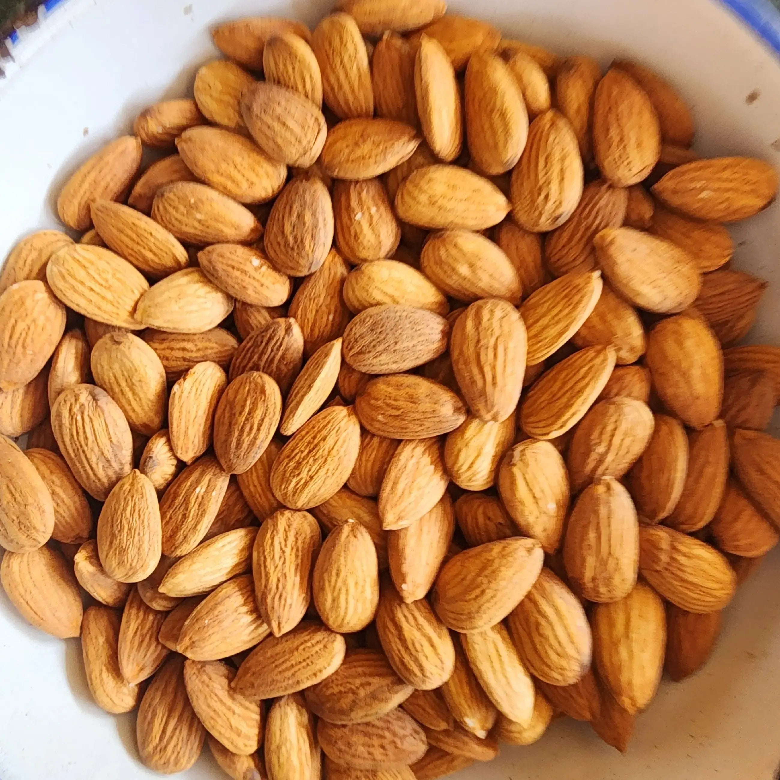 JUMBO almond BADAM જમ્બો  બદામ