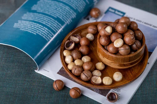 Macadamia Nut With Shell  આખા પ્લેઇન મેકેડેમીયા