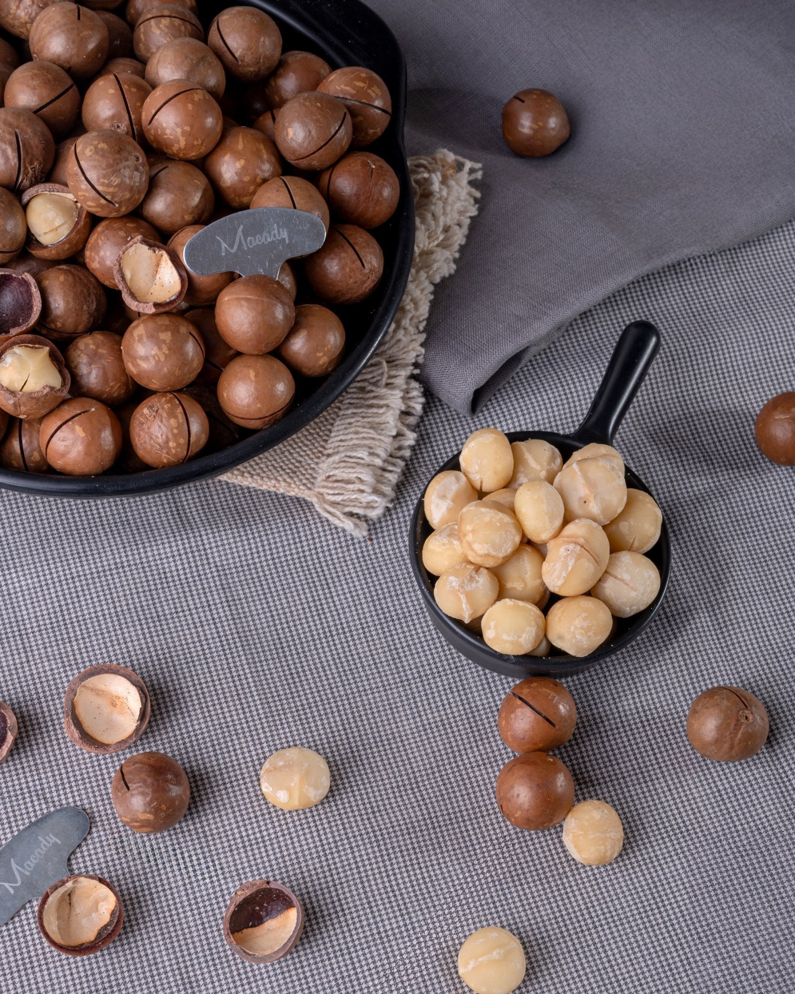 Macadamia Nut With Shell  આખા પ્લેઇન મેકેડેમીયા
