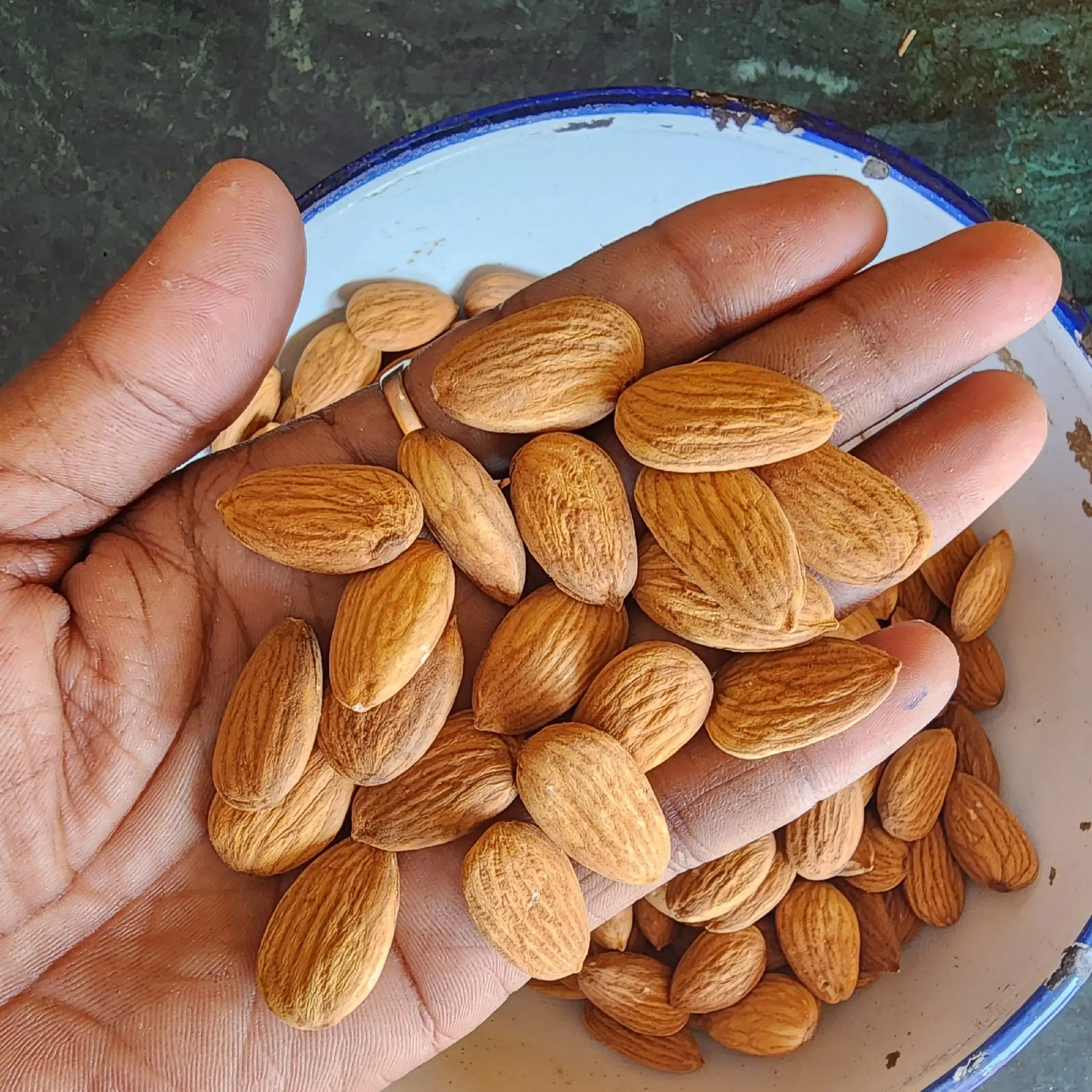 JUMBO almond BADAM જમ્બો  બદામ