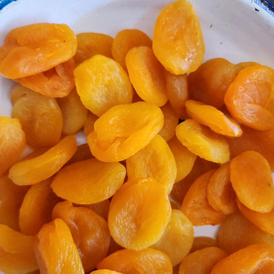 Turkish Apricoat તુર્કીશ આલુ સીડલૅસ